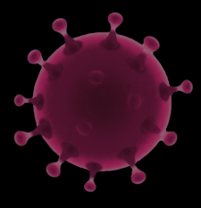 Virus Covid info